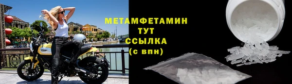 сатива Козловка
