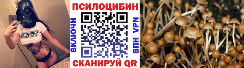 Галлюциногенные грибы мицелий  наркота  Видное 